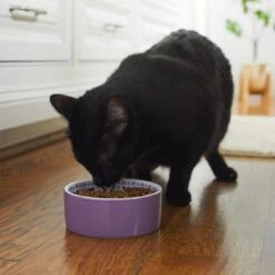 Frisco Kaleidoscope Pattern Non-skid Ceramic Dog & Cat Bowl -Pet Supplies Discount Store 256090 PT2. AC SS1800 V1615311092