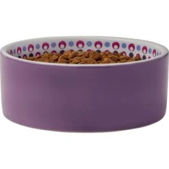 Frisco Kaleidoscope Pattern Non-skid Ceramic Dog & Cat Bowl -Pet Supplies Discount Store 256090 PT3. AC SS1800 V1615311698
