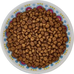 Frisco Kaleidoscope Pattern Non-skid Ceramic Cat Dish -Pet Supplies Discount Store 256092 PT5. AC SS1800 V1617042691