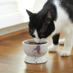 Frisco Cat Print Non-skid Elevated Ceramic Cat Bowl, Short -Pet Supplies Discount Store 256096 PT2. AC SS1800 V1616522571