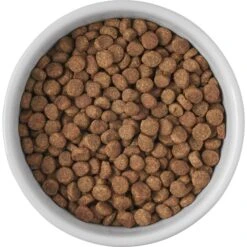 Frisco Cat Print Non-skid Elevated Ceramic Cat Bowl, Short -Pet Supplies Discount Store 256096 PT4. AC SS1800 V1616522576