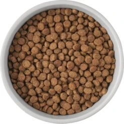 Frisco Cat Print Non-Skid Elevated Ceramic Cat Bowl, Tall -Pet Supplies Discount Store 256099 PT4. AC SS1800 V1616522538