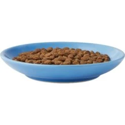 Frisco Cat Face Non-skid Ceramic Cat Dish, Blue -Pet Supplies Discount Store 256101 PT4. AC SS1800 V1617130592
