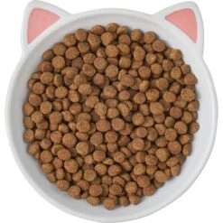 Frisco Cat Face Non-skid Ceramic Cat Dish 11 Frisco Cat Face Non-skid Ceramic Cat Dish -Pet Supplies Discount Store 256105 PT5. AC SS1800 V1615321295