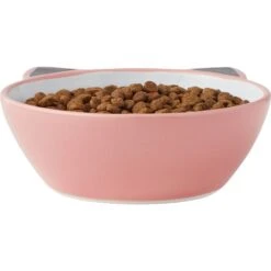 Frisco Cat Face Non-skid Ceramic Cat Bowl, Pink 10 Frisco Cat Face Non-skid Ceramic Cat Bowl, Pink -Pet Supplies Discount Store 256107 PT4. AC SS1800 V1616522565