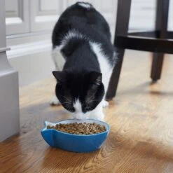 Frisco Fish Shaped Non-skid Ceramic Cat Bowl -Pet Supplies Discount Store 256111 PT6. AC SS1800 V1617037703