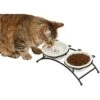 Frisco Cat Face Non-skid Elevated Double Ceramic Cat Bowl 1 Frisco Cat Face Non-skid Elevated Double Ceramic Cat Bowl -Pet Supplies Discount Store 256113 MAIN. AC SS1800 V1616522219