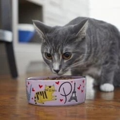 Frisco Paris Non-skid Ceramic Cat Dish -Pet Supplies Discount Store 256117 PT2. AC SS1800 V1615311397