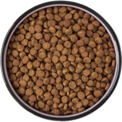 Frisco Paris Non-skid Ceramic Cat Dish -Pet Supplies Discount Store 256117 PT5. AC SS1800 V1615311392