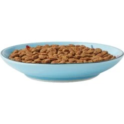 Frisco New York Non-skid Ceramic Cat Dish -Pet Supplies Discount Store 256119 PT5. AC SS1800 V1618494742
