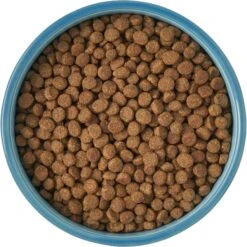 Frisco New York Non-skid Ceramic Cat Bowl -Pet Supplies Discount Store 256121 PT5. AC SS1800 V1615311387