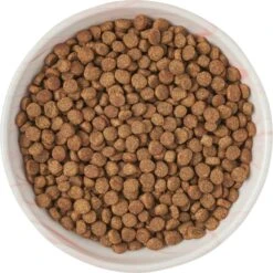 Frisco Marble Design Non-skid Ceramic Cat Bowl -Pet Supplies Discount Store 256125 PT5. AC SS1800 V1615311382