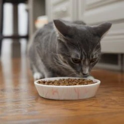 Frisco Marble Design Non-skid Ceramic Cat Bowl -Pet Supplies Discount Store 256125 PT6. AC SS1800 V1617037714