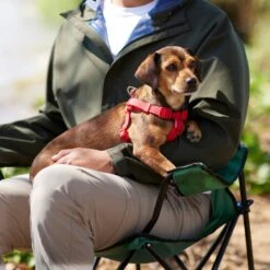 Frisco Outdoor Solid Textured Waterproof Stink Proof PVC Dog Harness -Pet Supplies Discount Store 256518 PT5. AC SS1800 V1625587387