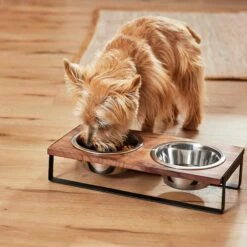 Frisco Wood Elevated Non-Skid Stainless Steel Double Diner Dog & Cat Bowl -Pet Supplies Discount Store 257143 PT3. AC SS1800 V1615987292