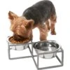 Frisco Elevated Diamond Stainless Steel Double Diner Dog & Cat Bowl -Pet Supplies Discount Store 257147 MAIN. AC SS1800 V1615913790