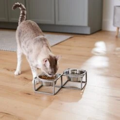Frisco Elevated Diamond Stainless Steel Double Diner Dog & Cat Bowl 14 Frisco Elevated Diamond Stainless Steel Double Diner Dog & Cat Bowl -Pet Supplies Discount Store 257147 PT5. AC SS1800 V1615989105