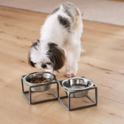 Frisco Elevated Diamond Stainless Steel Double Diner Dog & Cat Bowl 15 Frisco Elevated Diamond Stainless Steel Double Diner Dog & Cat Bowl -Pet Supplies Discount Store 257147 PT8. AC SS1800 V1615840442