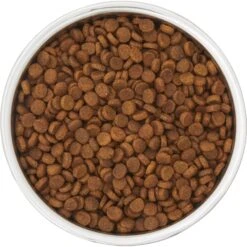 Frisco Insulated Two-Toned Non-Skid Stainless Steel Dog & Cat Bowl -Pet Supplies Discount Store 257168 PT4. AC SS1800 V1612367255