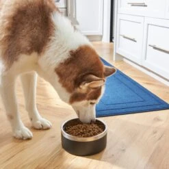 Frisco Insulated Two-Toned Non-Skid Stainless Steel Dog & Cat Bowl -Pet Supplies Discount Store 257168 PT8. AC SS1800 V1615840126