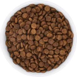 Frisco Bohemian Non-Skid Stainless Steel Dog & Cat Bowl -Pet Supplies Discount Store 257195 PT4. AC SS1800 V1615311089