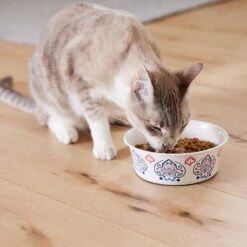 Frisco Bohemian Non-Skid Stainless Steel Dog & Cat Bowl -Pet Supplies Discount Store 257195 PT7. AC SS1800 V1615989147