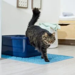 Frisco Quilted Cat Litter Mat -Pet Supplies Discount Store 258210 PT3. AC SS1800 V1675279933