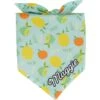 Frisco Citrus Personalized Dog & Cat Bandana 1 Frisco Citrus Personalized Dog & Cat Bandana -Pet Supplies Discount Store 258758 MAIN. AC SS1800 V1619558872