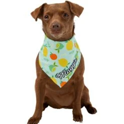 Frisco Citrus Personalized Dog & Cat Bandana -Pet Supplies Discount Store 258758 PT6. AC SS1800 V1619560354