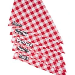 Frisco Gingham Personalized Dog & Cat Bandana -Pet Supplies Discount Store 258775 PT4. AC SS1800 V1619558858