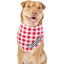 Frisco Gingham Personalized Dog & Cat Bandana -Pet Supplies Discount Store 258775 PT6. AC SS1800 V1619558303