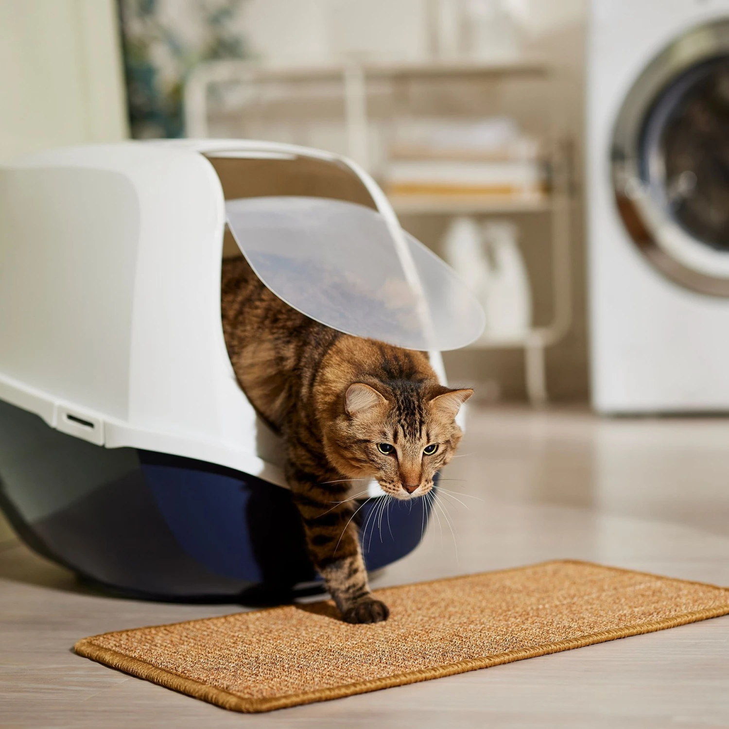 Frisco Sisal Mat 6 Frisco Sisal Mat - Image 4