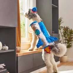 Frisco Rocket Ship Dog & Cat Costume -Pet Supplies Discount Store 260904 PT8. AC SS1800 V1624400386