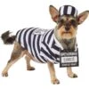 Frisco Prisoner Dog & Cat Costume