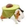 Frisco Avocado Guinea Pig Costume, One Size -Pet Supplies Discount Store 261095 MAIN. AC SS1800 V1624414703