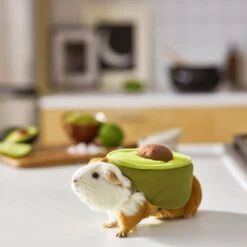 Frisco Avocado Guinea Pig Costume, One Size -Pet Supplies Discount Store 261095 PT8. AC SS1800 V1624454728