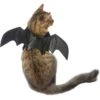 Frisco Bat Wings Dog & Cat Costume -Pet Supplies Discount Store 261113 MAIN. AC SS1800 V1625076458