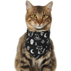 Frisco Glow In The Dark Mystical Print Dog & Cat Bandana -Pet Supplies Discount Store 261218 PT2. AC SS1800 V1633086982