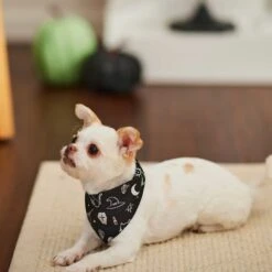 Frisco Glow In The Dark Mystical Print Dog & Cat Bandana -Pet Supplies Discount Store 261218 PT5. AC SS1800 V1633057869