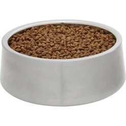 Frisco Insulated Non-Skid Flair Stainless Steel Dog & Cat Bowl -Pet Supplies Discount Store 261753 PT2. AC SS1800 V1623937563