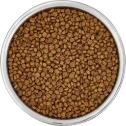 Frisco Insulated Non-Skid Flair Stainless Steel Dog & Cat Bowl -Pet Supplies Discount Store 261753 PT4. AC SS1800 V1623937583