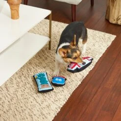 Frisco Road Trip Sightseeing Plush Squeaky Dog Toy, 3 Count -Pet Supplies Discount Store 262001 PT3. AC SS1800 V1618598716