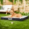 Frisco Indoor/Outdoor Arrow Print Pillow Dog Bed W/Removable Cover
