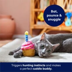 Frisco Birthday Cupcake Plush Cat Toy With Refillable Catnip -Pet Supplies Discount Store 264456 PT5. AC SS1800 V1691785246