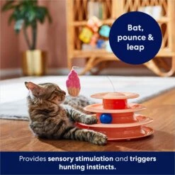 Frisco Birthday Cat Tracks Cat Toy -Pet Supplies Discount Store 264460 PT5. AC SS1800 V1691785246