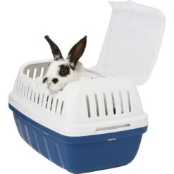 Frisco Top Entry Two-Toned Small Pet Carrier -Pet Supplies Discount Store 264931 PT2. AC SS1800 V1617739934