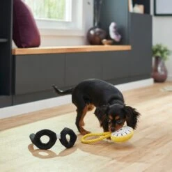 Frisco Magic Pocket Watch & Glasses Plush Squeaky Dog Toy, 2 Count -Pet Supplies Discount Store 265590 PT3. AC SS1800 V1620938935