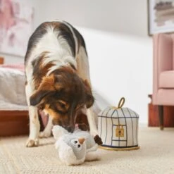 Frisco Magic Owl & Cage 2-in-1 Plush Squeaky Dog Toy -Pet Supplies Discount Store 265592 PT3. AC SS1800 V1620938916