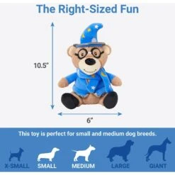 Frisco Magic Wizard Bear Plush Squeaky Dog Toy -Pet Supplies Discount Store 265604 PT1. AC SS1800 V1623352138