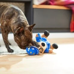 Frisco Magic Wizard Bear Plush Squeaky Dog Toy -Pet Supplies Discount Store 265604 PT3. AC SS1800 V1623352109